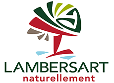 mairie Lambersart