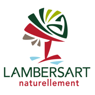LogoLambersart https://preprod.lblm.fr/wp-content/uploads/2022/12/LogoLambersart-320x320.png